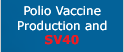 Polio Vaccine Production and SV40